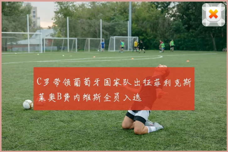 C罗带领葡萄牙国家队出征菲利克斯莱奥B费内维斯全员入选