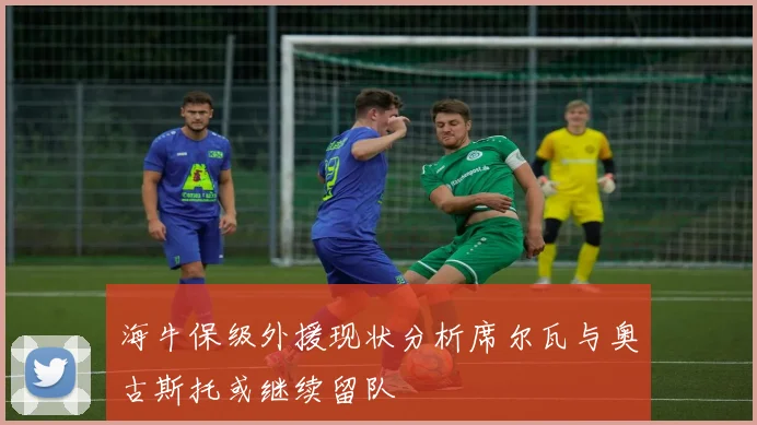 海牛保级外援现状分析席尔瓦与奥古斯托或继续留队