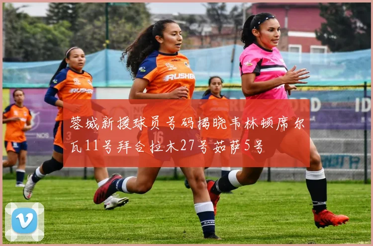 蓉城新援球员号码揭晓韦林顿席尔瓦11号拜合拉木27号茹萨5号